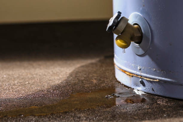 Water damage restoration insurance claims in Freeport, FL