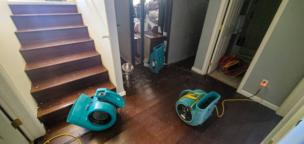 Best Basement water damage restoration  in Freeport, FL