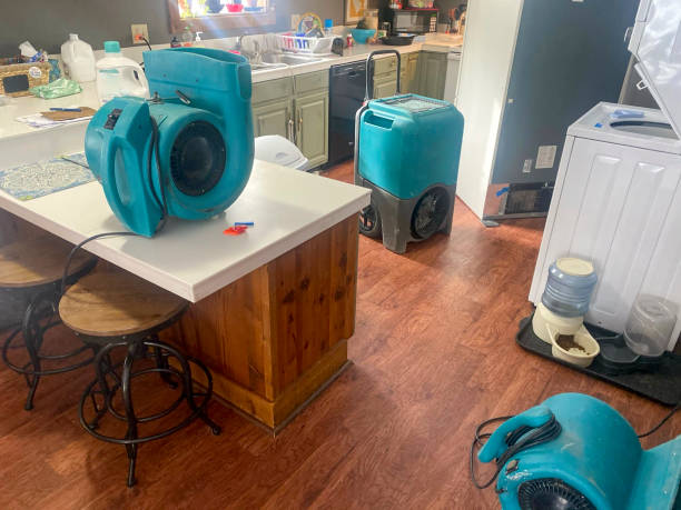 Best Professional water damage repair  in Freeport, FL