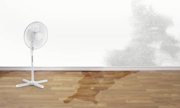 Best Flood restoration services  in Freeport, FL