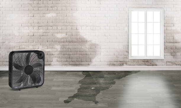 Water damage restoration process in Freeport, FL