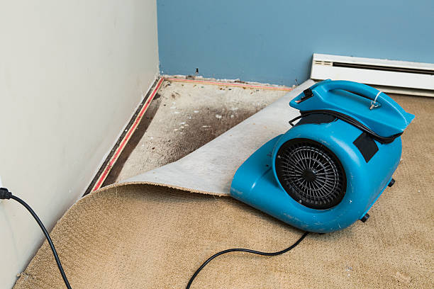 Best Emergency water damage restoration  in Freeport, FL
